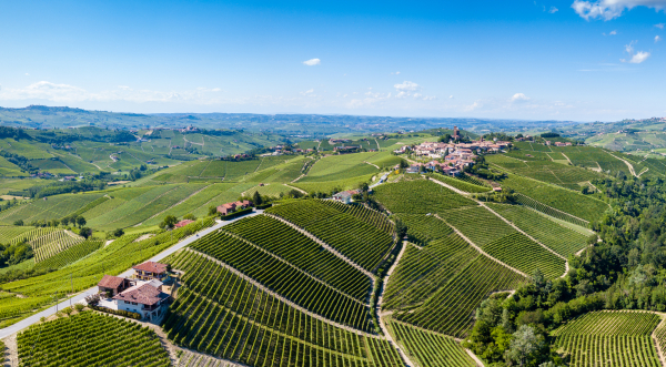 Kerin O’Keefe on the 2022 Barolo Vintage and Giovanni Rosso’s Top Scores