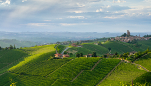Wine Spectator Hails the 2021 Barolo Vintage - Giovanni Rosso Among the Standouts.