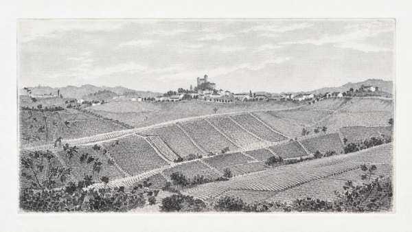 L’arte incontra il vino: Tina Ciravegna da Giovanni Rosso