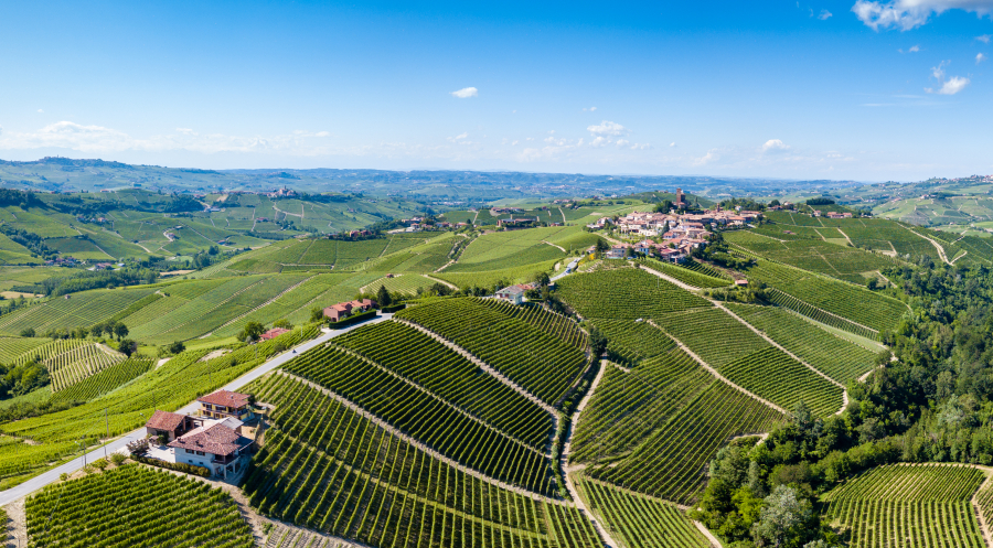 Barolo 2022 по оценке Kerin O’Keefe: результаты Giovanni Rosso